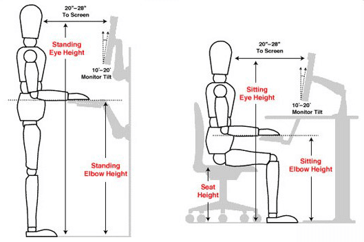 Correct Standing and Sitting Posture